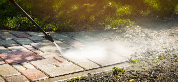 Animal Enclosure Cleaning in Shiner, TX
